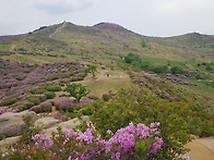 황매산 비박
