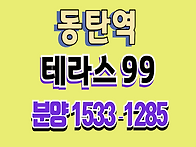 동탄 테라스99 동탄역 오..