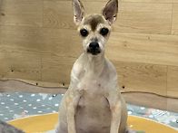 &#127895;먼 여행길 ..