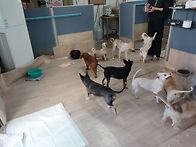 5월 9일 토요일 보호소입니..