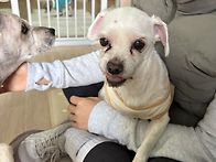 28일 토요일 보호소입니다..