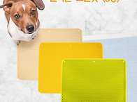 애견 토일렛 판매! 택배만..