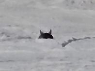 1월 25일 따뜻한 ..