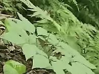 산행