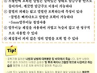 말벌을 효과적으로 유인하..