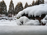 총회 이모저모(몇 커트 올..