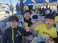 2026년 교육장배 학년별 ..