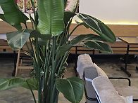 회사 근처 무인카..