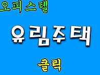 잔여.오피 / 금천구 가산동..