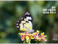 오늘의 책 속의 한 줄 -..