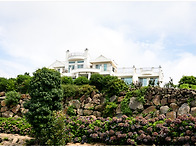 제주 마노르블랑 수국정원..