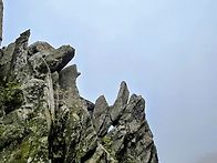 달마산(489m) 2025년 4..