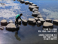 오늘의 책 속의 한 줄 -..