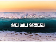 오늘의 책 속의 한 줄 -..