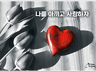 오늘의 책 속의 한 줄 -..