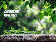 오늘의 책 속의 한 줄 -..