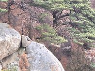 사패산 도봉산 2025년12..