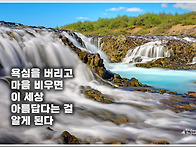 오늘의 책 속의 한 줄 -..