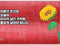 오늘의 책 속의 한 줄 -..