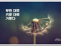 오늘의 책 속의 한 줄 -..