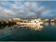 제주 한치 & 오징어 야간 ..