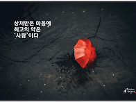 오늘의 책 속의 한 줄 -..