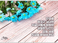 오늘의 책 속의 한 줄 -..