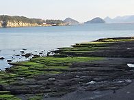 26.02.01 경남고성 연화산..