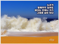 오늘의 책 속의 한 줄 -..