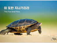 오늘의 책 속의 한 줄 -..