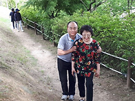 2019년