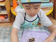 베트남의 음식 월남쌈&#65308;고..