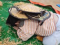 가을 나뭇잎 방석을 만들어..