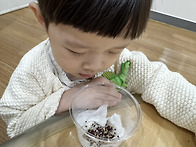 내가 심은 씨앗이 싹텄어요..