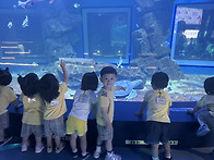 해양 박물관 체험학습