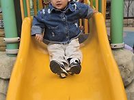 즐거운 봄나들이