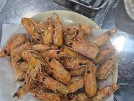 사진을 딱 하나 ..