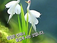 ★어느 놈팽이야.