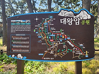 대왕암(5월4일 맑음)