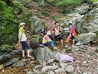 주금산 비금계곡.