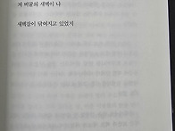 메타자본세콰이어..