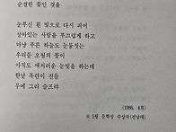 바람찬 날에 꽃이..