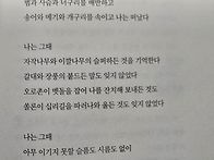 나와 나타샤와 흰..