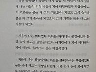 무지개 도둑/박재..