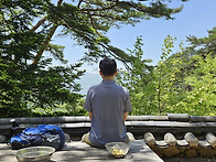 쌍계사 배알도 산..
