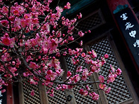 3월 기도 및 법회 