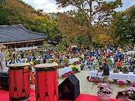  운수사 가을 국화 축제