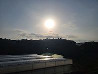 오늘한일