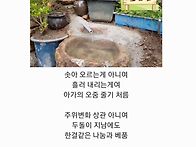 이런 일도 있네! 바위틈에..