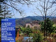 산간 농원의 봄날